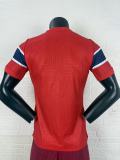 Mens Norway 2026 World Cup home player version (The player version is more slim fit, it is recommended to buy one size larger)