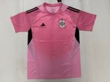 Spain 2026 Goalkeeper Training Kit
