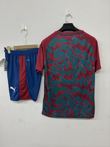 Portugal 2026 Blue And Red Training suit