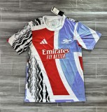 Arsenal 25-26 training jersey