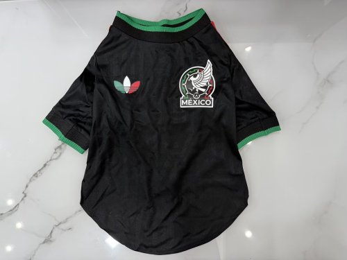 Mexico 2026 WORLD CUP Third Away PET JERSEY
