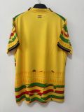 Ghana 2026 yellow training shirts