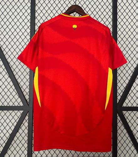 2024 Spain  Home Fans Jersey