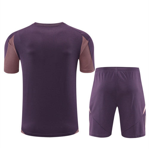 24-25 Arsenal Short Sleeve Training Suit/ 24-25阿森纳短袖训练服