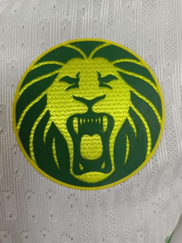 2025 Cameroon Third Player Jersey/2025喀麦隆第二客场球员版