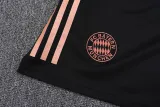 25-26 Bayern Munich Vest Training Suit/25-26拜仁背心训练服
