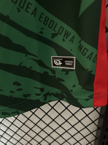 2025 Cameroon Home Fans Jersey/2025喀麦隆主场球迷