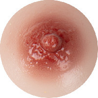 Starpery 159E Cup Misa silicone head+tpe body