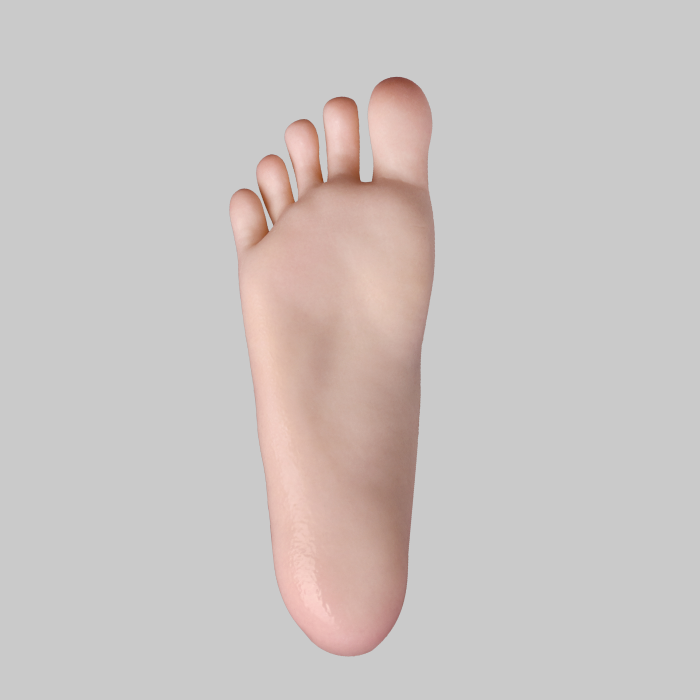 Zelex 155cm C Cup-- GE108-1 with Movable jaw full silicone doll