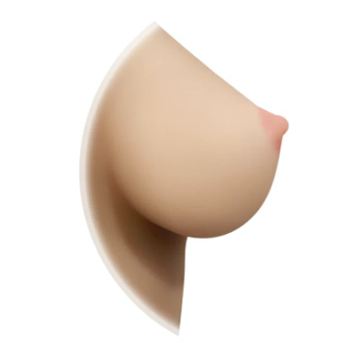 WM 5'15 FT (157CM) B-CUP with #162