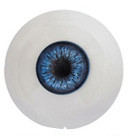 Irontech 176cm--Jack male full silicone doll