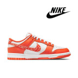 NIKE SB Dunk Low Retro Sneaker Luxury Designer Shoes Casual Sports Skateboard Shoe