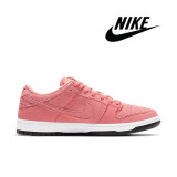 NIKE SB Dunk Low Retro Sneaker Luxury Designer Shoes Casual Sports Skateboard Shoe