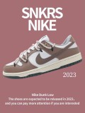 Nike SB Dunk Low Sneakers White/Black Brown dunk series low-top casual sports skateboard shoes canvas cloud pattern white rice dumpling powder cashew nut flower
