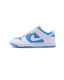 NIKE SB Dunk Low Retro Sneaker Luxury Designer Shoes Casual Sports Skateboard Shoe
