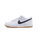 NIKE SB Dunk Low Retro Sneaker Luxury Designer Shoes Casual Sports Skateboard Shoe