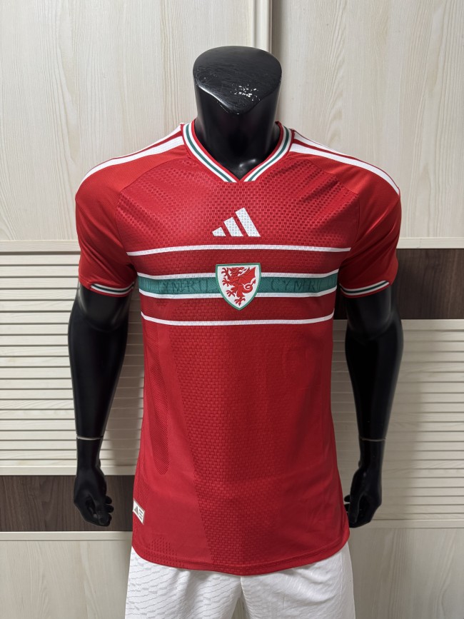 26ss 27ss Adidas Wales Soccer Jersey Player Version