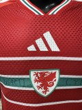 26ss 27ss Adidas Wales Soccer Jersey Player Version