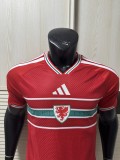 26ss 27ss Adidas Wales Soccer Jersey Player Version
