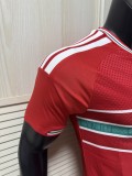 26ss 27ss Adidas Wales Soccer Jersey Player Version