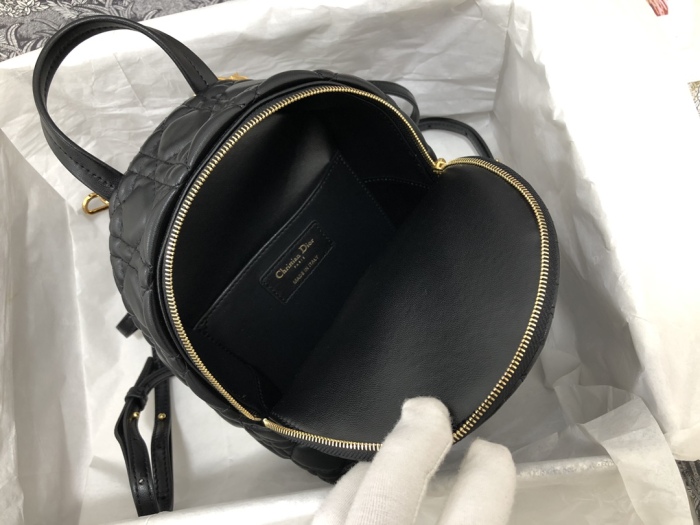  Arrenfashion D*ior Bag Top Quality 16*21*8.5CM