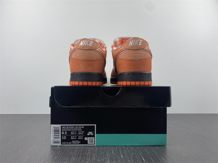  from Arrenfashion Concepts x Nike SB Dunk Low FD8776-800