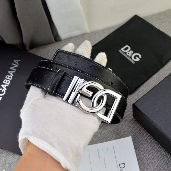 Arrenfashion D&G Belts 35MM ( Arrenfashion)