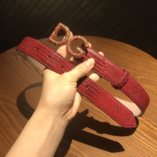  Arrenfashion D&G Belts 30MM ( Arrenfashion)