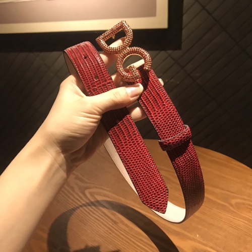  Arrenfashion D&G Belts 30MM ( Arrenfashion)