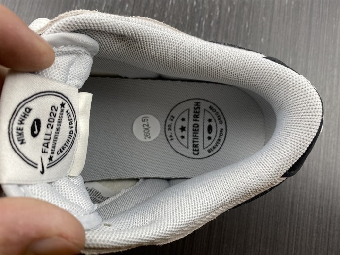  from Arrenfashion Nike Dunk SB Low Certified Fresh DO9776-001
