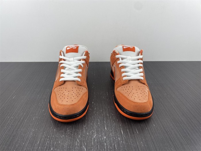  from Arrenfashion Concepts x Nike SB Dunk Low FD8776-800