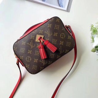  Arrenfashion L*ouis V*uitton Bag Top Quality 22*16*8cm