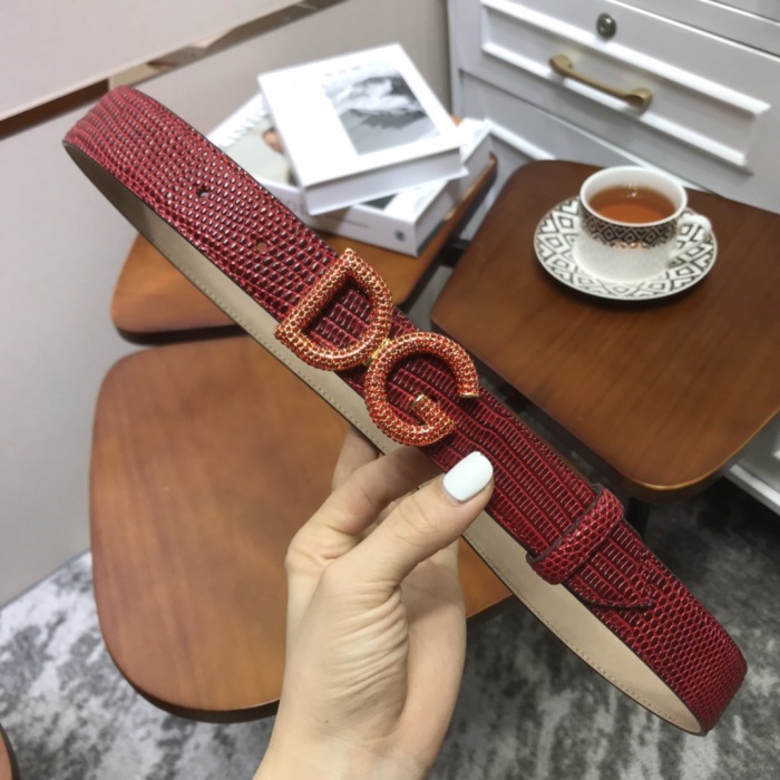  Arrenfashion D&G Belts 30MM ( Arrenfashion)