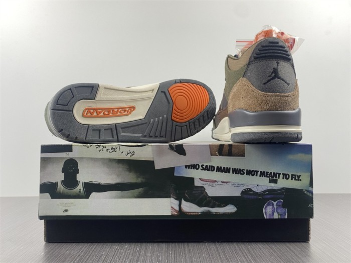  Arrenfashion Air Jordan 3 “Camo” DO1830-200