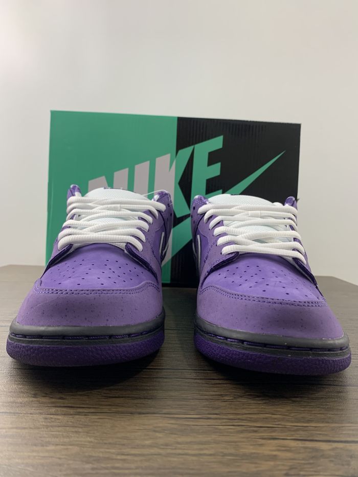  from Arrenfashion Concepts X NK SB Dunk Purple Lobster