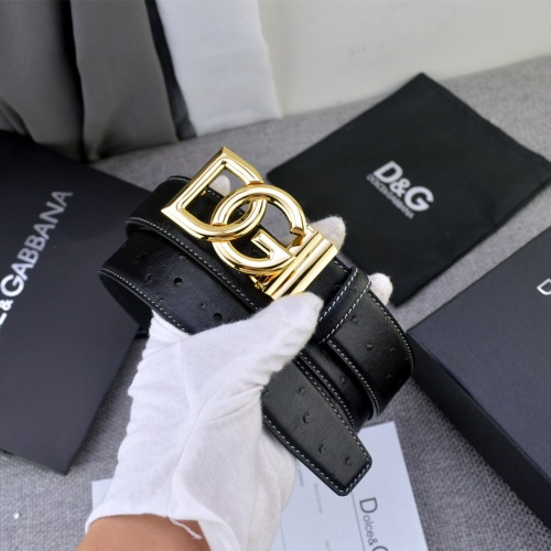  Arrenfashion D&G Belts 35MM ( Arrenfashion)