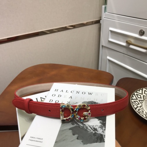  Arrenfashion D&G Women Belts 25MM ( Arrenfashion)