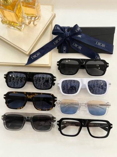  Arrenfashion D*ior Glasses Top