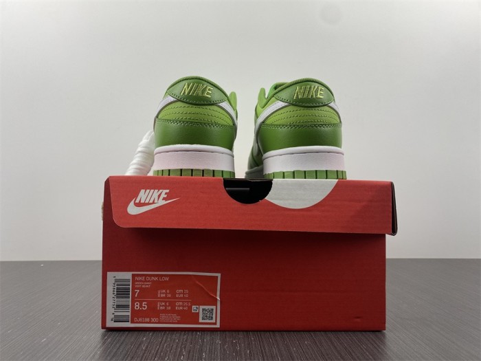  from Arrenfashion NIKE DUNK LOW DJ6188-300