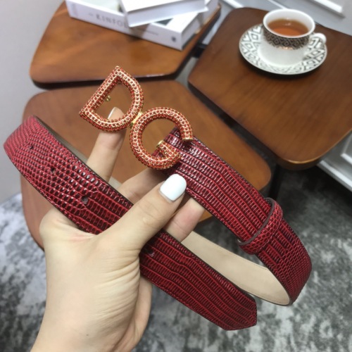  Arrenfashion D&G Belts 30MM ( Arrenfashion)
