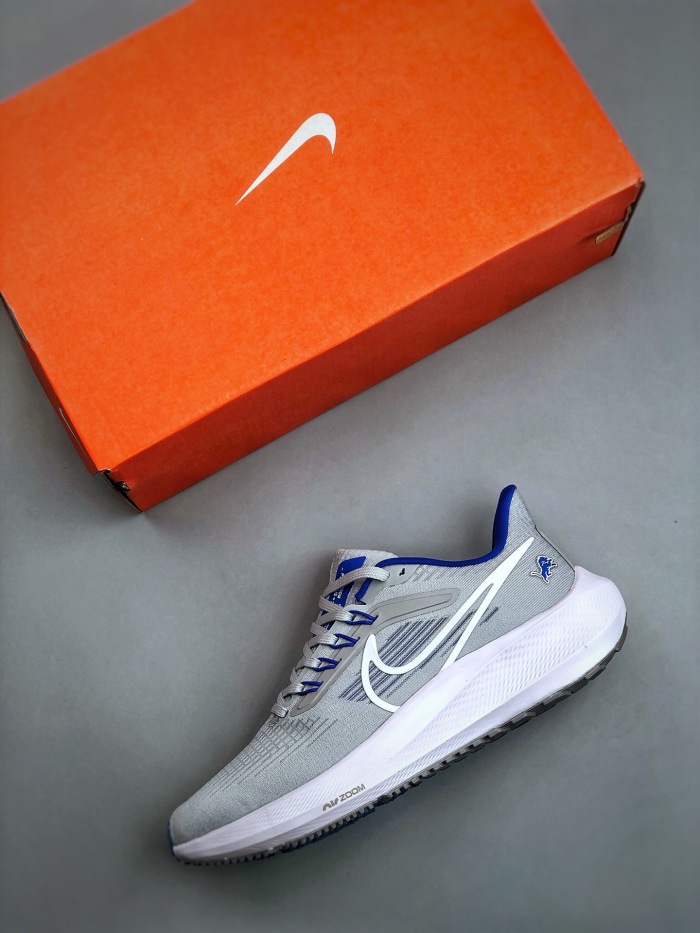 Men Nike zoom pegasus 39 (Arrenfashion)