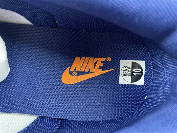  from Arrenfashion Nike SB Dunk Low Michigan DD1391-700