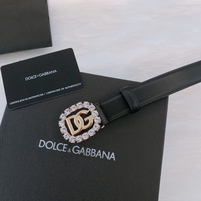  Arrenfashion D&G Belts 25MM ( Arrenfashion)