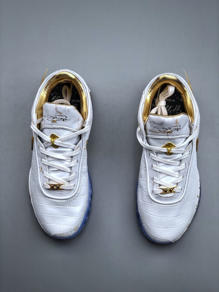 Nike lebron XX asw EP (Arrenfashion)