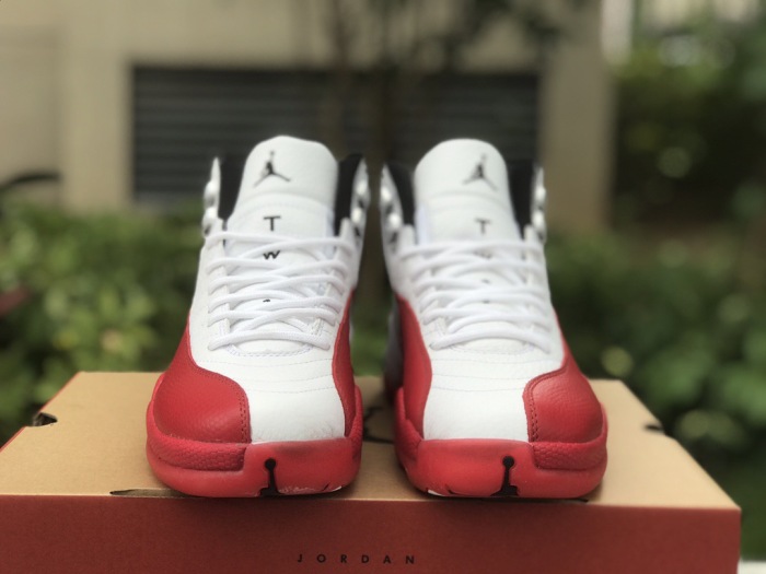 Free shipping arrenfashion Air Jordan 12