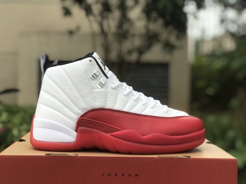 Free shipping arrenfashion Air Jordan 12