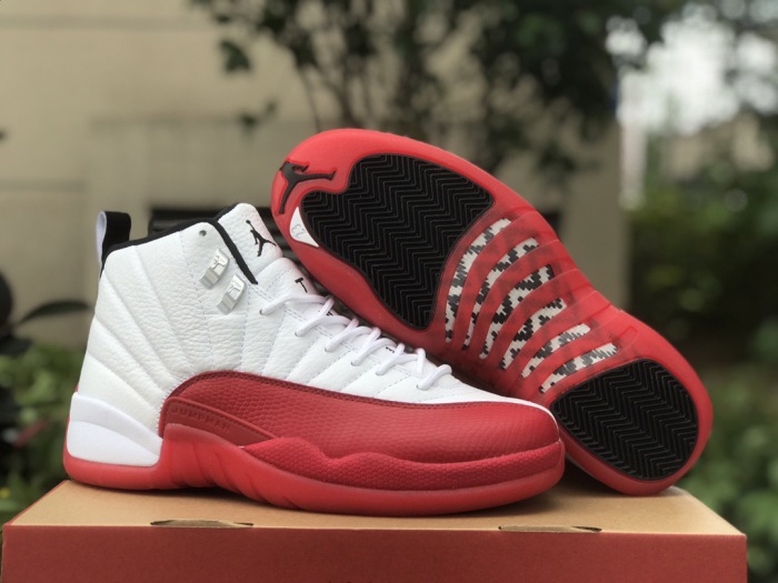 Free shipping arrenfashion Air Jordan 12