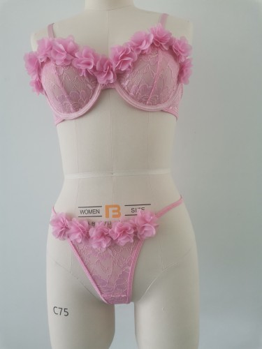 Floral Lace 3D Flower Bra Set Sexy Lingerie