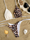 Leopard Print Two Piece Swimwear