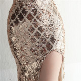 Sequins + Beaded Tassel Sleeve V-Neck Side Slit Evening Dress